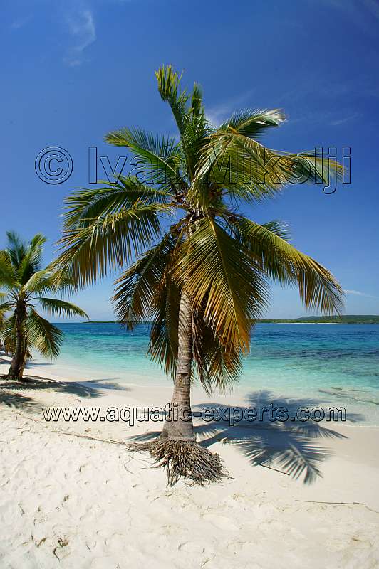 fotografias de venezuela